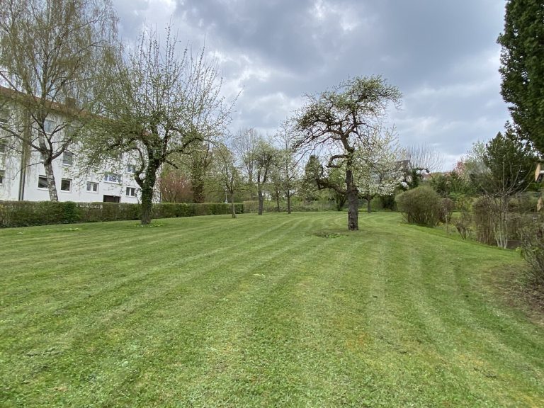Immobilienangebot - Ulm - Alle - Am alten Eselsberg-direkt an der Obstwiese wohnen