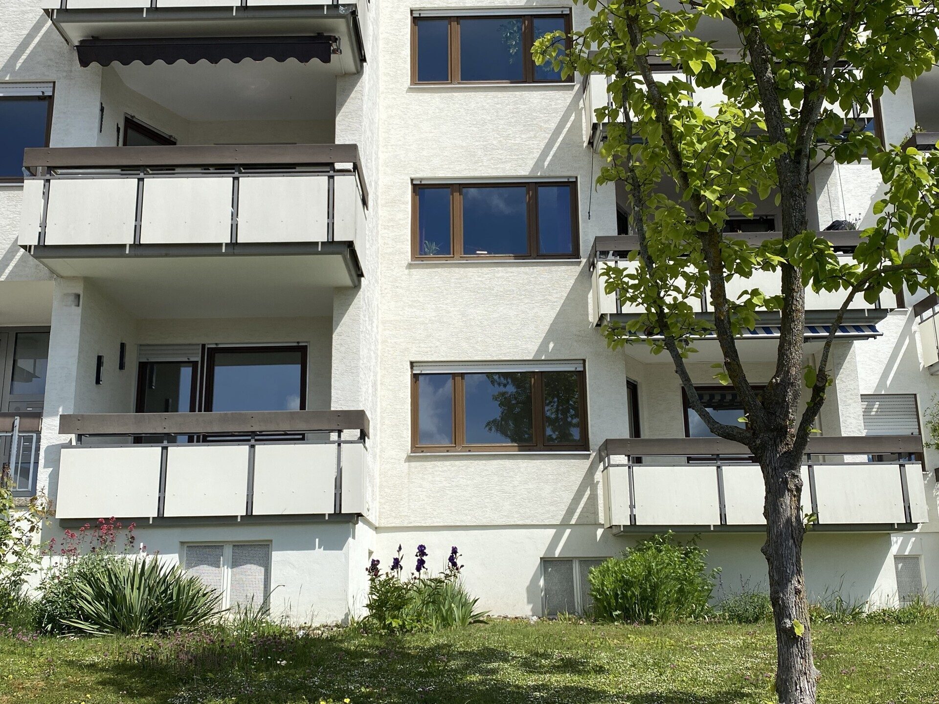 Immobilienangebot - Ulm - Alle - Wohnung mit Wohlfühlfaktor