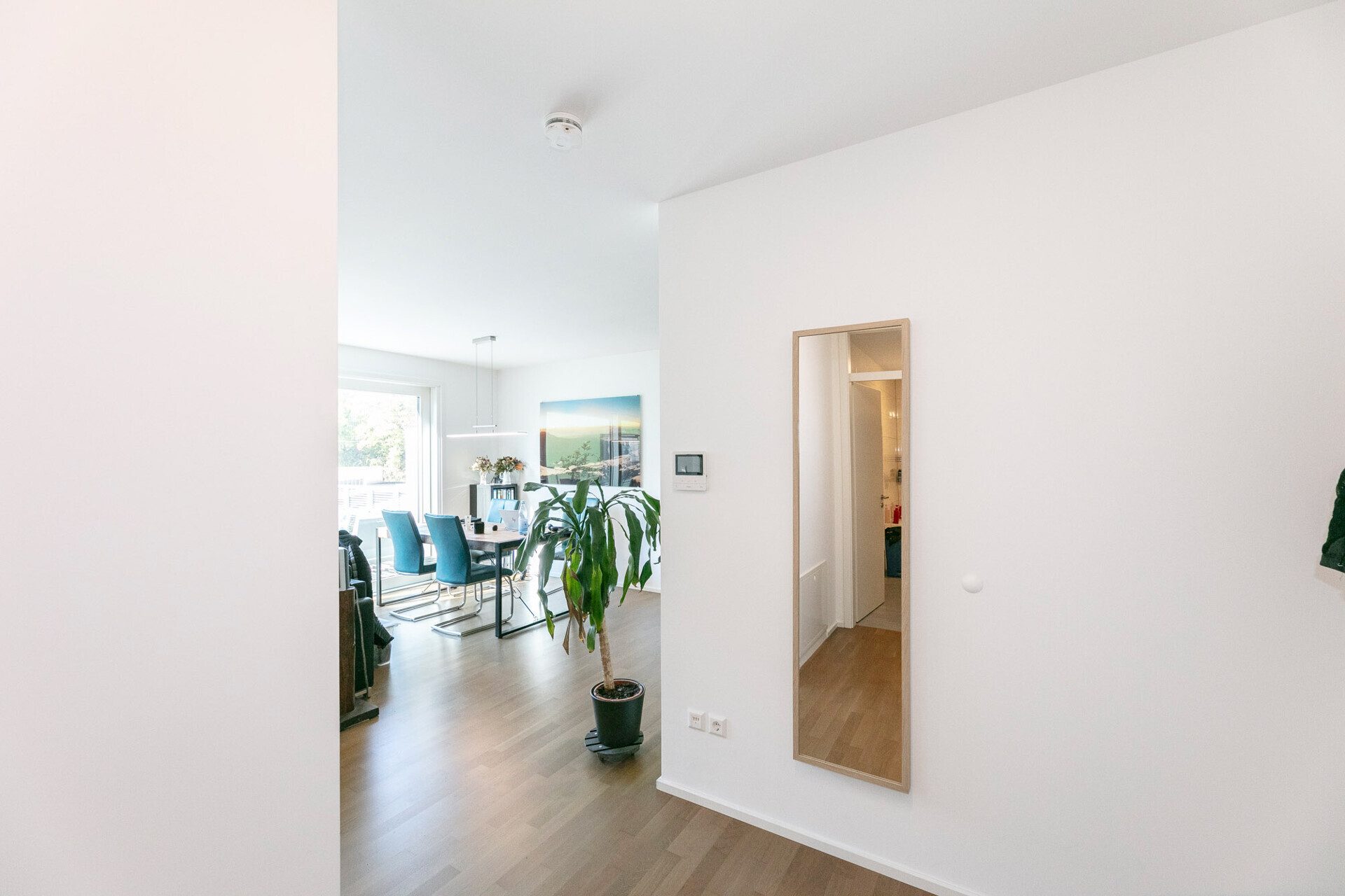 Immobilienangebot - Ulm - Alle - Gut vermietet und sehr gepflegt - 
Sichere Kapitalanlage in Ulm-Mitte