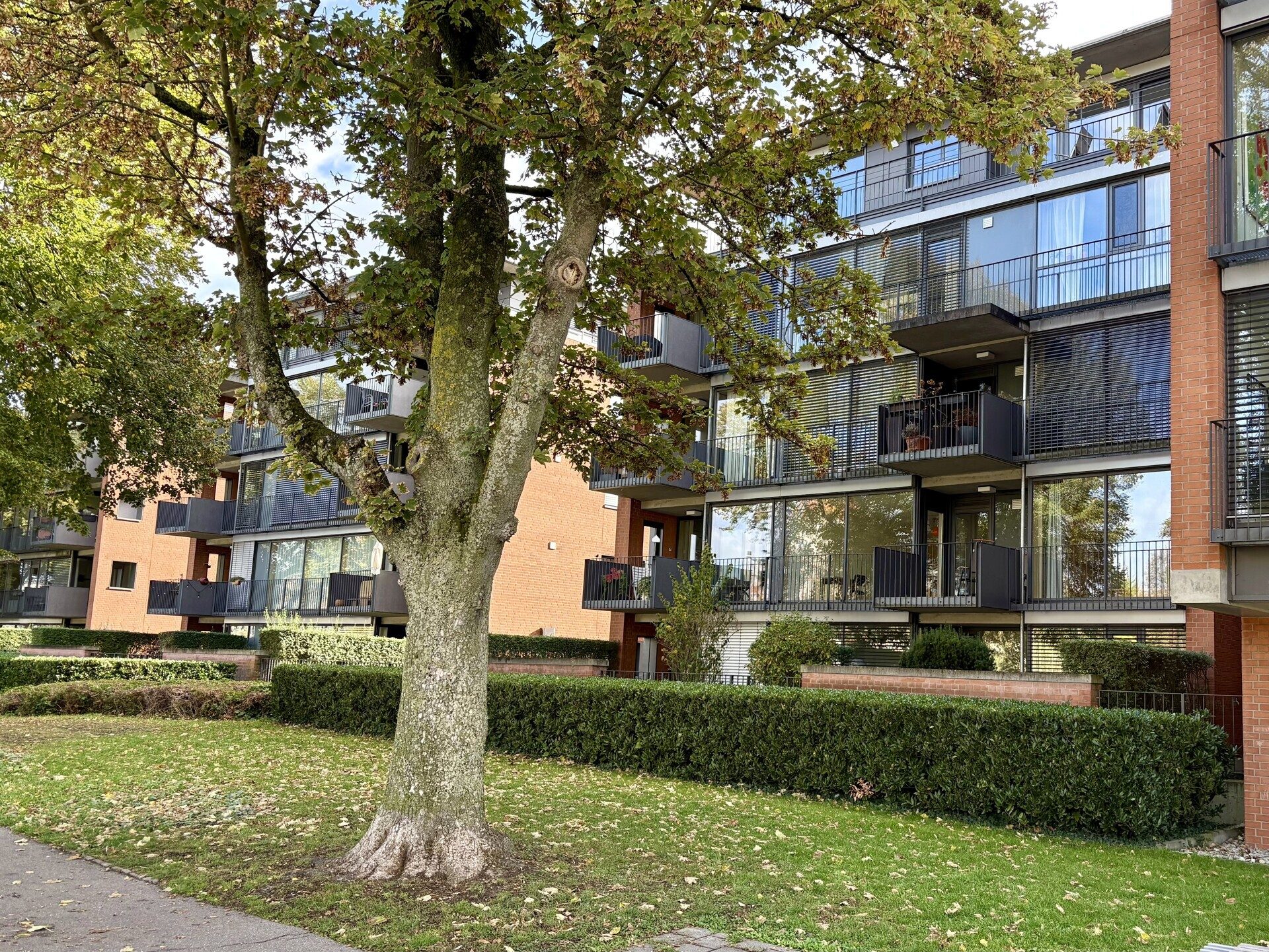 Immobilienangebot - Neu-Ulm - Alle - Traumhafter Donaublick: Moderne 2-Zimmer-Wohnung mit Balkon in Neu-Ulm