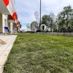 Neubauprojekt Alte Schreinerei - April 24 - Garten - Hirn Immobilien
