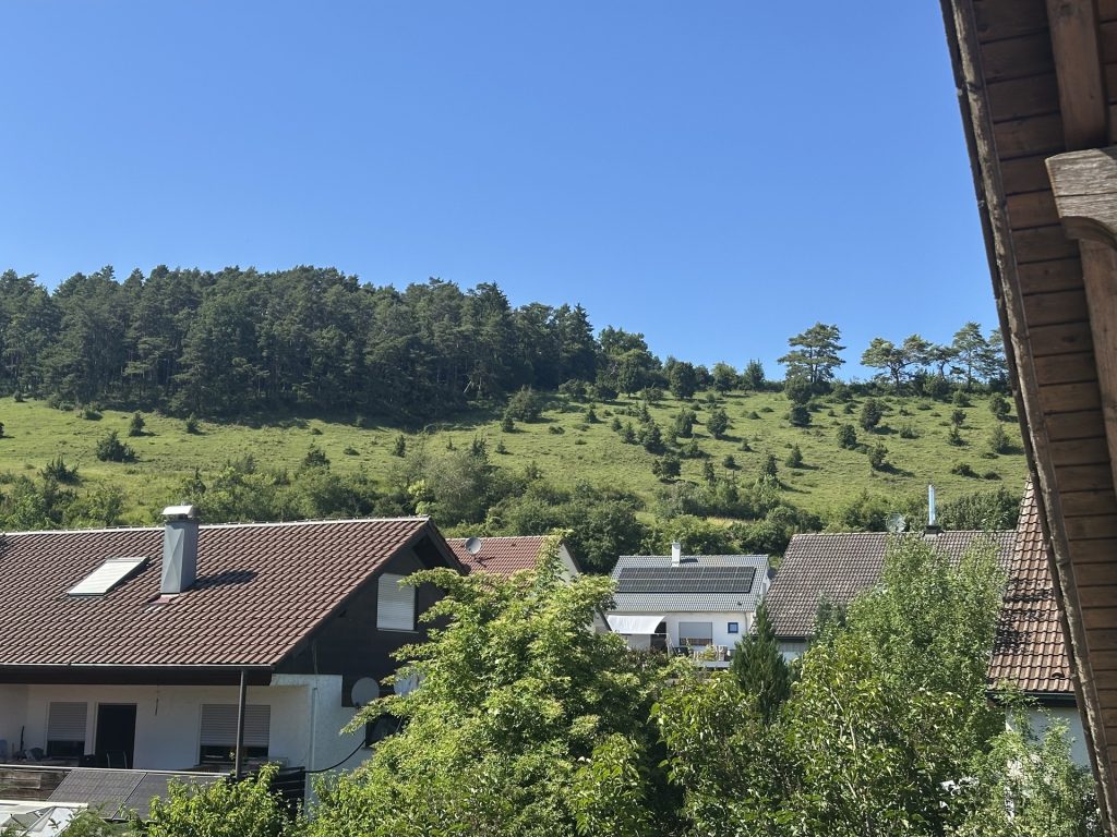 Hirn Immobilien GmbH - Immobilienangebot - Langenau / Hörvelsingen - Wohnungen - Dachgeschosswohnung mit Süd-West Balkon in ruhiger Lage in Langenau/ Hörvelsingen