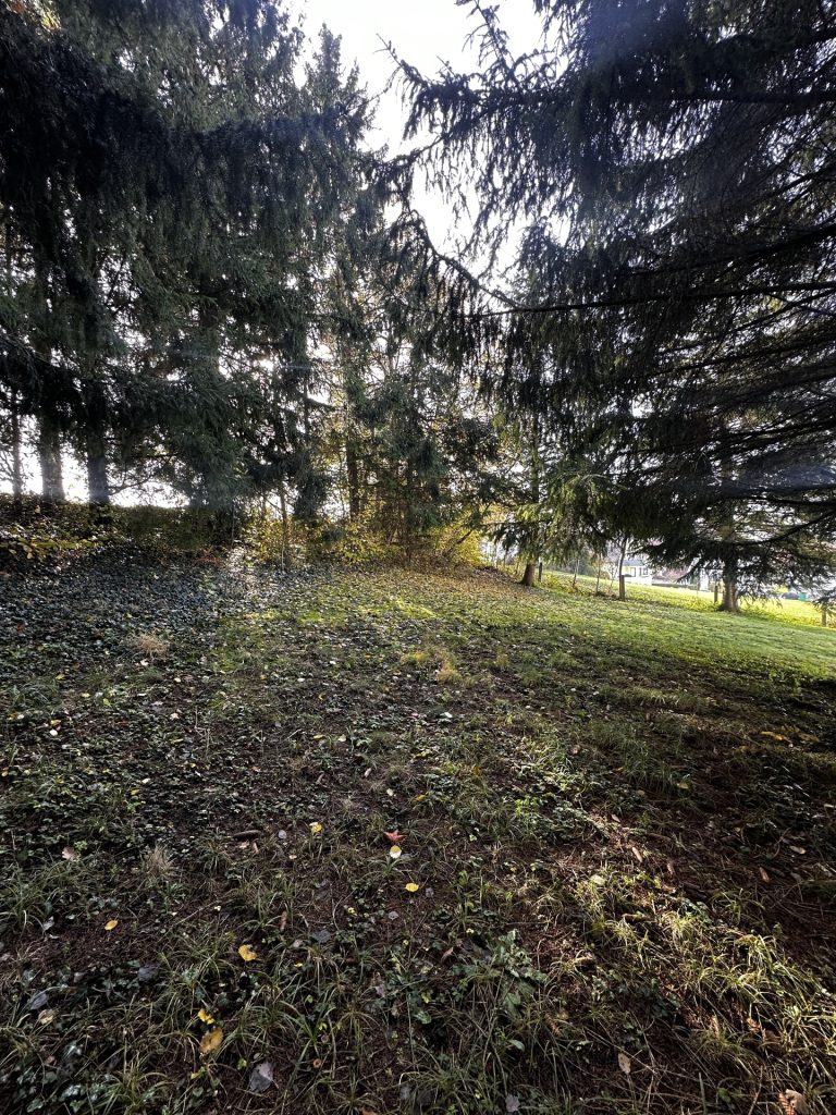 Hirn Immobilien GmbH - Immobilienangebot - Kötz / Großkötz - Grundstücke - Großzügiges Baugrundstück für Ihr individuelles Wohnprojekt