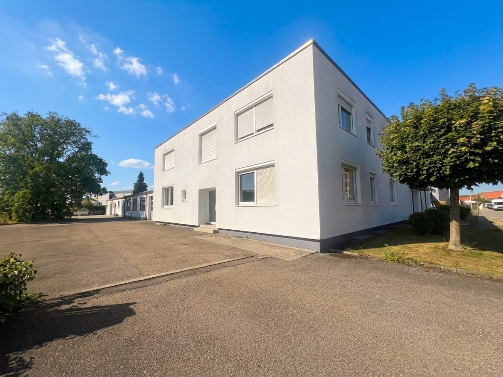 Hirn Immobilien GmbH - Immobilienangebot - Neu-Ulm - Alle - Bürofläche Neu-Ulm — 255 m², ebenerdig, sofort verfügbar