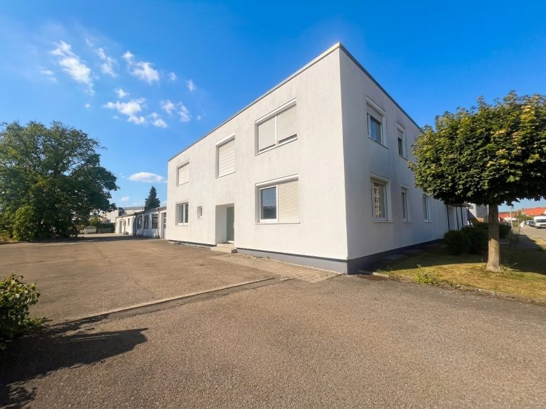 Hirn Immobilien GmbH - Immobilienangebot - Neu-Ulm - Alle - Bürofläche Neu-Ulm — 255 m², ebenerdig, sofort verfügbar