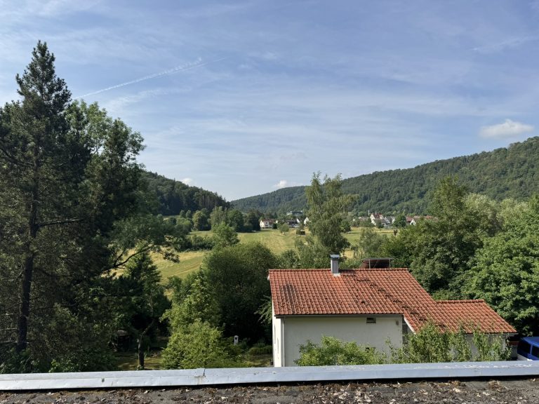 Hirn Immobilien GmbH - Immobilienangebot - Blaubeuren / Weiler - Häuser - Großes Wohnhaus mit zwei separaten Einheiten plus Gewerbe bei Blaubeuren
