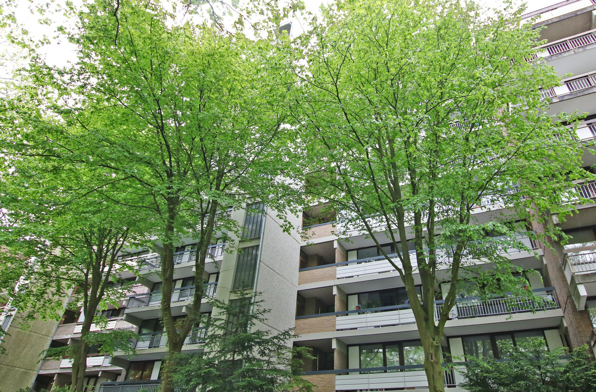 Dr. OEBELS + partner - Immobilienangebot - Köln - Alle - RUHIG UND ZENTRAL IN WEIDEN: 2-Zimmerwohnung mit großem Balkon