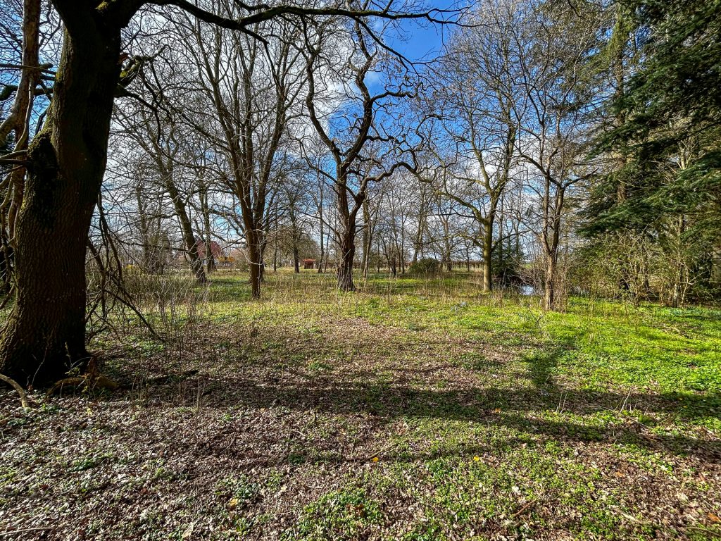 Immobilienangebot - Ovelgönne - Grundstück - Idyllisches Grundstück mit Altbestand und viel Potenzial in Strückhausen bei Ovelgönne zu verkaufen!