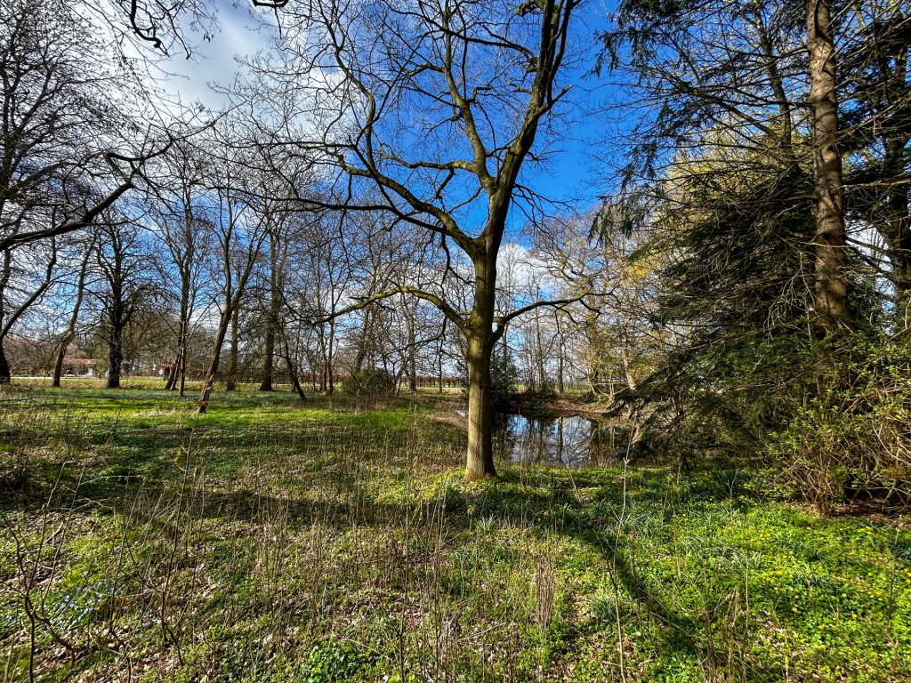Immobilienangebot - Ovelgönne - Grundstück - Idyllisches Grundstück mit Altbestand und viel Potenzial in Strückhausen bei Ovelgönne zu verkaufen!