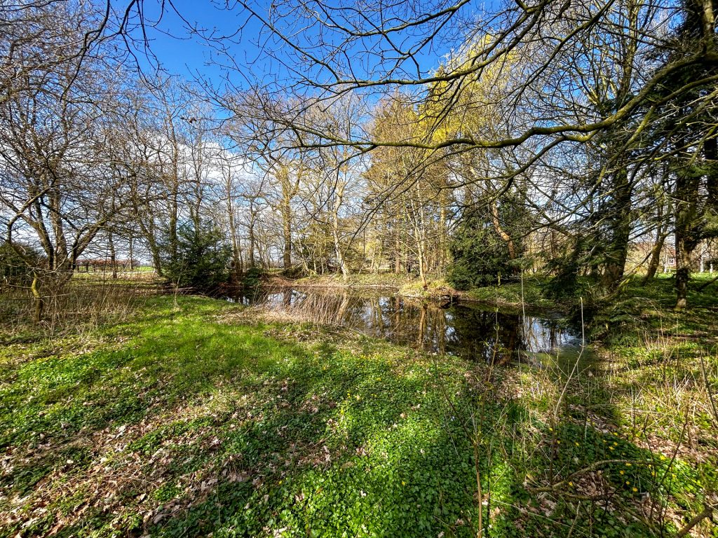 Immobilienangebot - Ovelgönne - Grundstück - Idyllisches Grundstück mit Altbestand und viel Potenzial in Strückhausen bei Ovelgönne zu verkaufen!