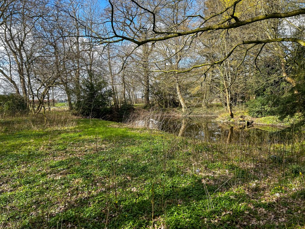 Immobilienangebot - Ovelgönne - Grundstück - Idyllisches Grundstück mit Altbestand und viel Potenzial in Strückhausen bei Ovelgönne zu verkaufen!