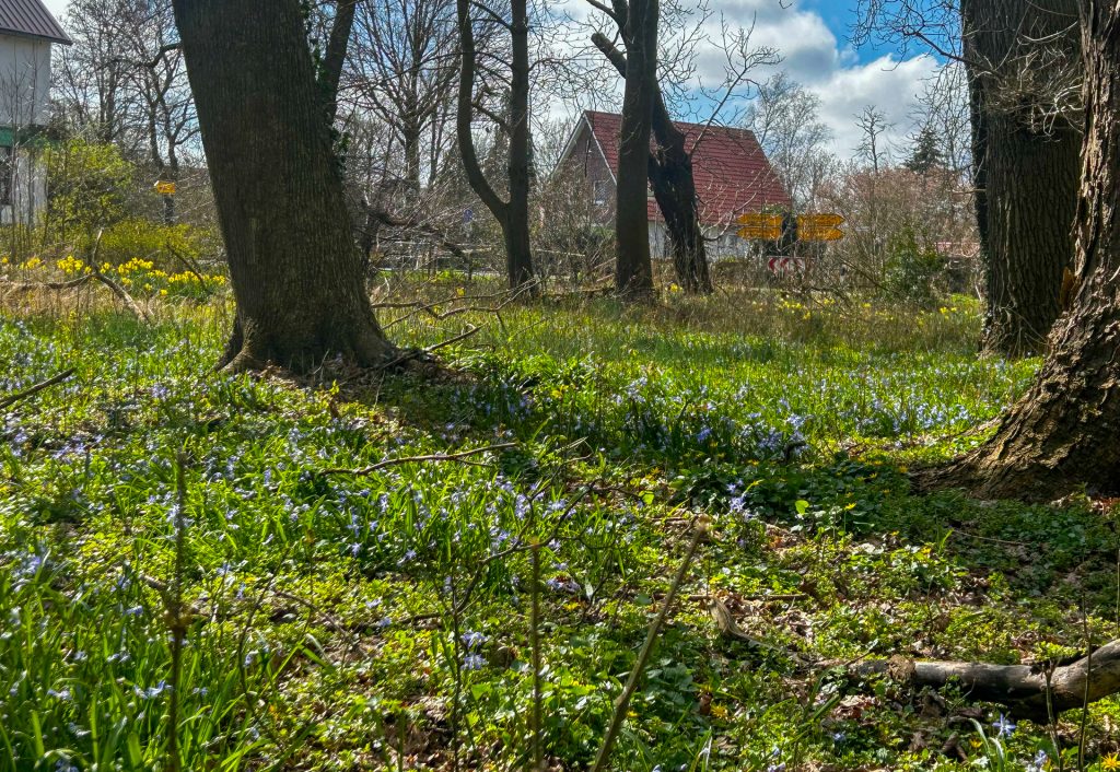 Immobilienangebot - Ovelgönne - Grundstück - Idyllisches Grundstück mit Altbestand und viel Potenzial in Strückhausen bei Ovelgönne zu verkaufen!