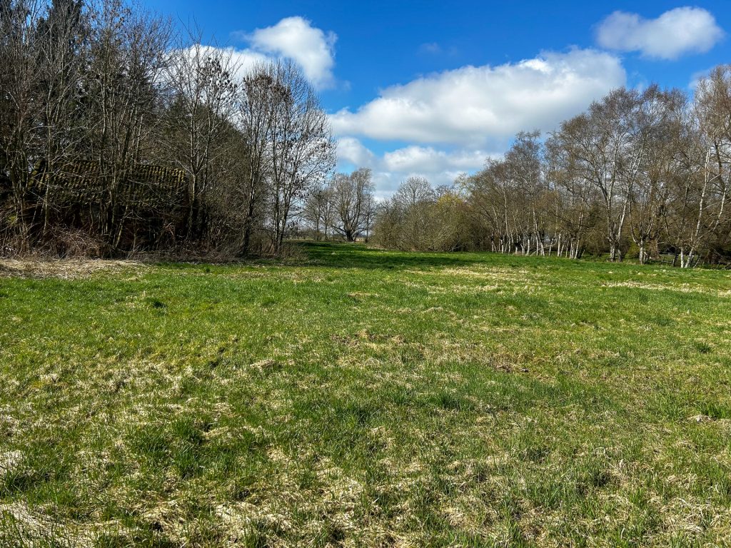 Immobilienangebot - Ovelgönne - Grundstück - Idyllisches Grundstück mit Altbestand und viel Potenzial in Strückhausen bei Ovelgönne zu verkaufen!
