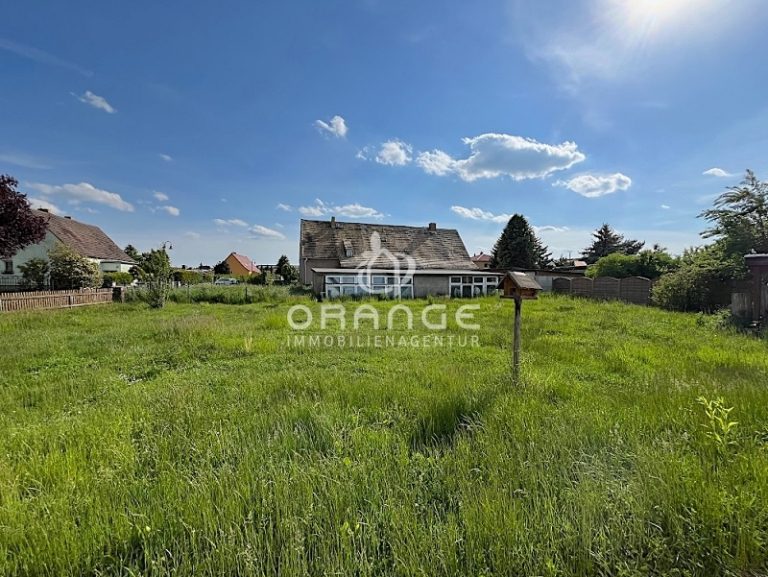 Immobilienangebot - Belgershain / Köhra - Alle - HIER KÖNNEN SIE IHR HAUS NOCH SELBST GESTALTEN!