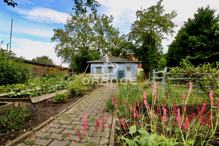 Immobilienangebot - Halle - Alle - KLEIN, ABER OHO! - SANIERTER BUNGALOW MIT GARTENIDYLLE FÜR EINEN MINIMALISTISCHEN LEBENSSTIL
