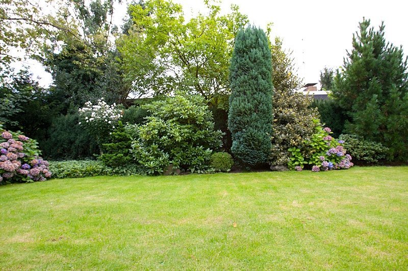 Immobilienangebot - Gelsenkirchen - Alle - Bungalow in guter Wohnlage von Gelsenkirchen-Buer!