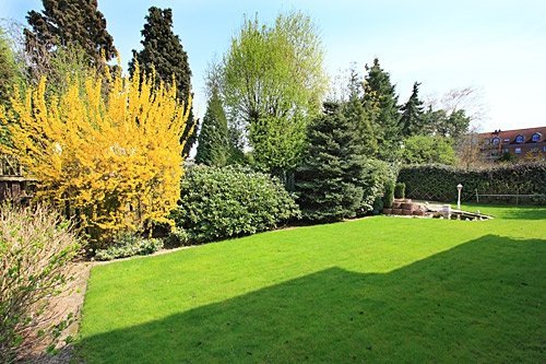 Immobilienangebot - Borken - Alle - Zweifamilienhaus in bester Lage!