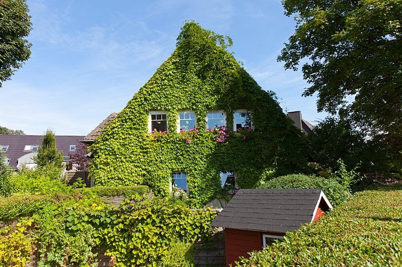 Immobilienangebot - Gelsenkirchen - Alle - English Cottage Garden am Waldrand von Buer!