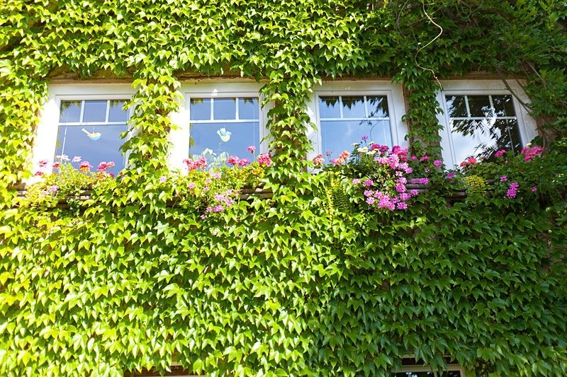 Immobilienangebot - Gelsenkirchen - Alle - English Cottage Garden am Waldrand von Buer!