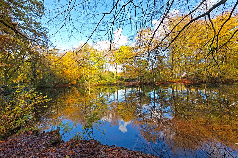 Immobilienangebot - Gelsenkirchen / Buer - Alle - Wohnen in Buer - finanziert durch Mieteinnahmen!