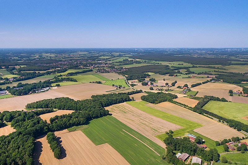Immobilienangebot - Reken - Alle - Wenn alles perfekt sein soll –  Leben heißt genießen!