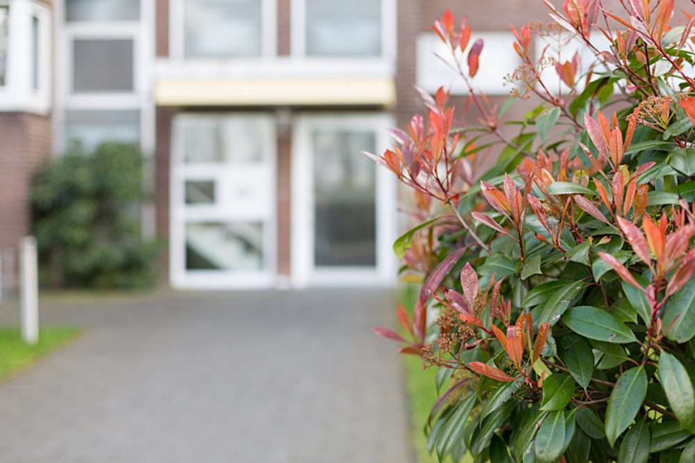 Immobilienangebot - Gelsenkirchen - Alle - Schöne Erdgeschosswohnung in Bulmke-Hüllen!
