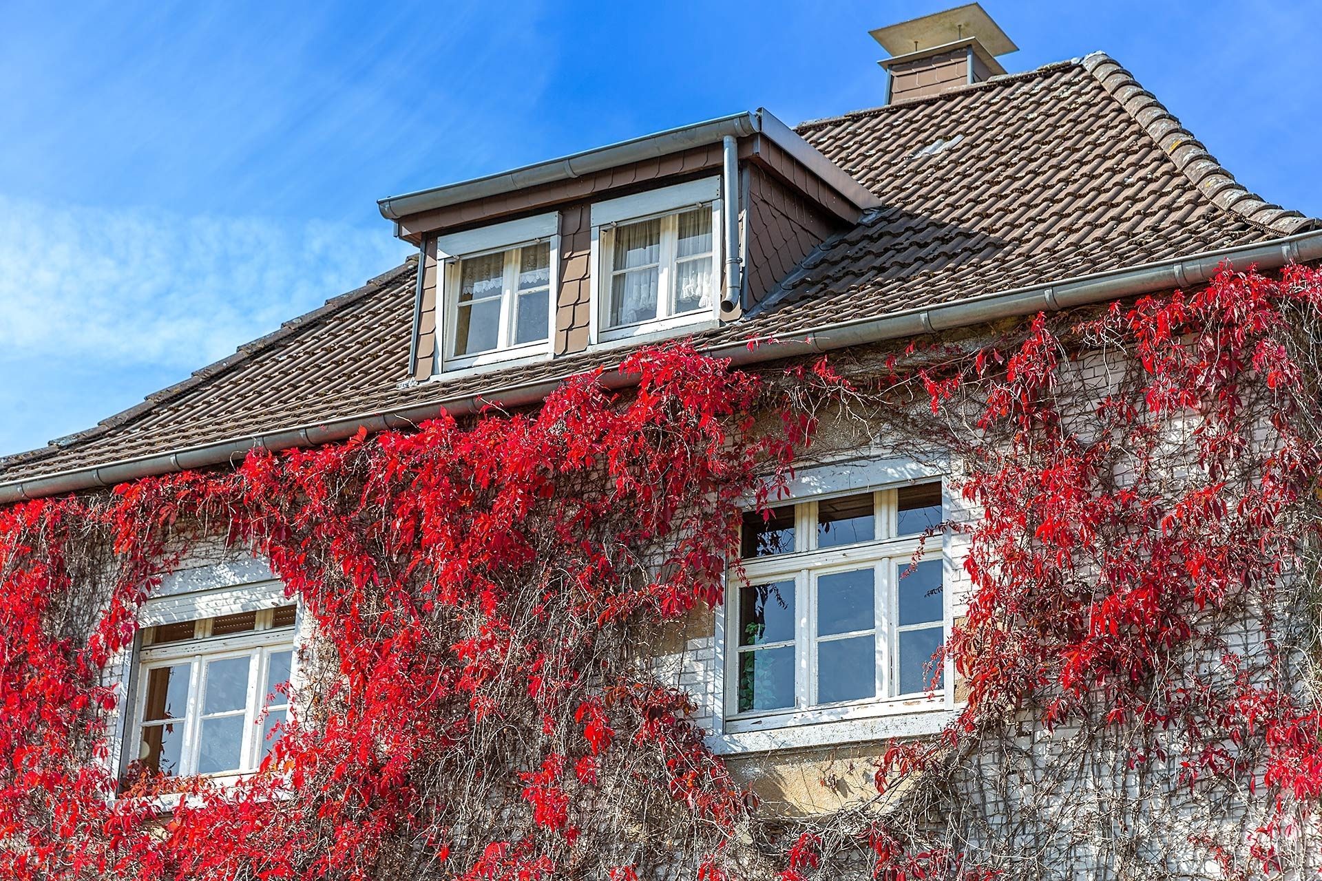 Immobilienangebot - Marl-Polsum - Häuser - Ländlich ruhig im Aussenbereich von Marl-Polsum!