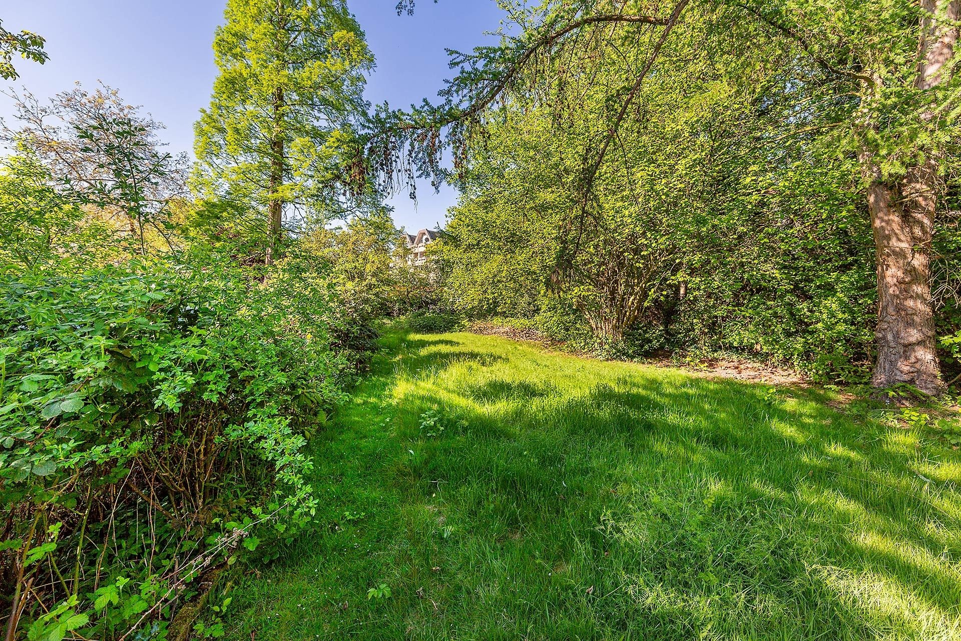 Immobilienangebot - Gelsenkirchen / Buer - Häuser - Historische Stadtvilla auf 1.500 m² Grundstück – vielseitig nutzbar mit drei Einheiten